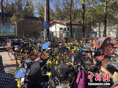 资料图:路边停车处有不少共享单车。中新网 吴涛 摄